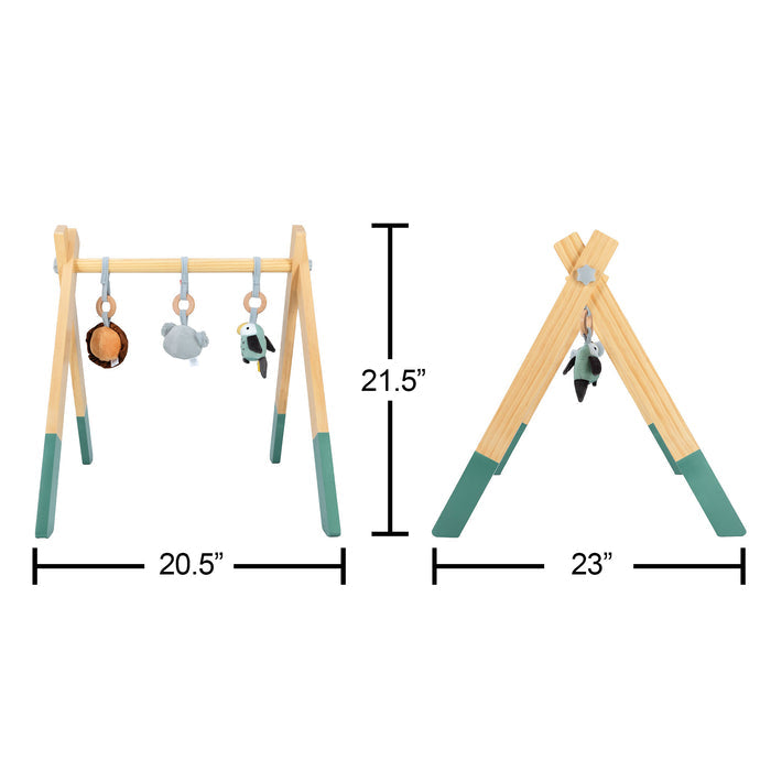 The Wooden Play Gym features hanging toys and green-tipped legs for a playful touch. Shown from the front and side, it measures 20.5" wide, 21.5" tall, and 23" deep.